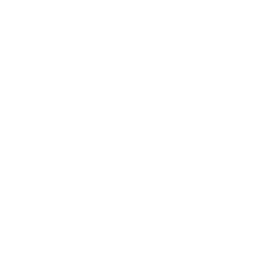 service icon whole house renovations cropped